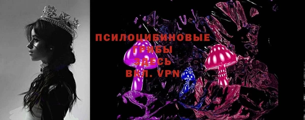 винт Абаза